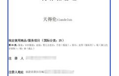 天得伦Tiandelun商标终于下来了，在复刻鞋网里留个印迹插图